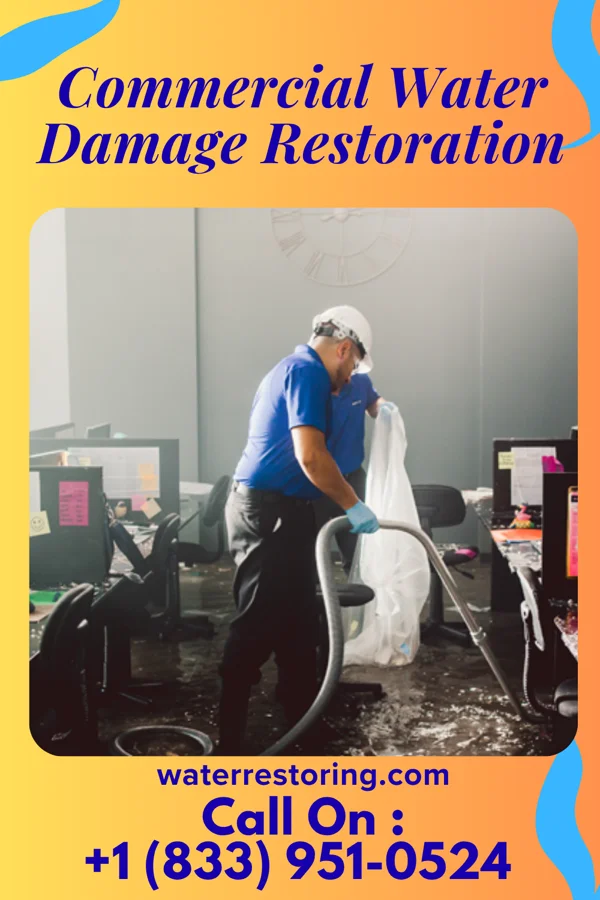 Commercial Water Damage Restoration in Eidson Road, TX