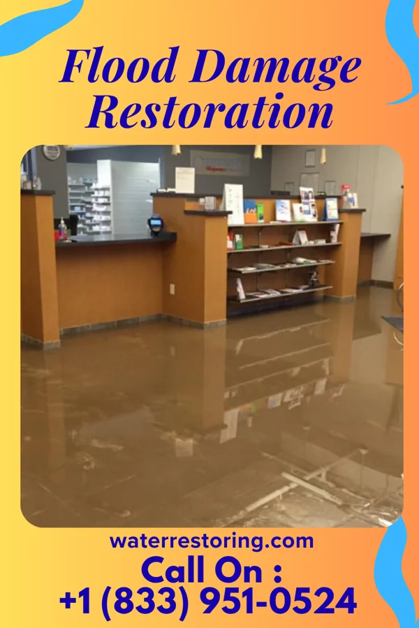 Flood Damage Restoration in Eidson Road, TX