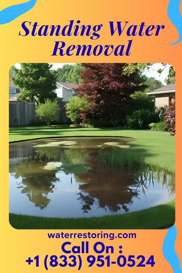 Standing Water Removal in Eidson Road, TX